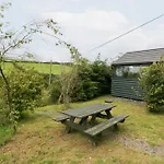 Ash *