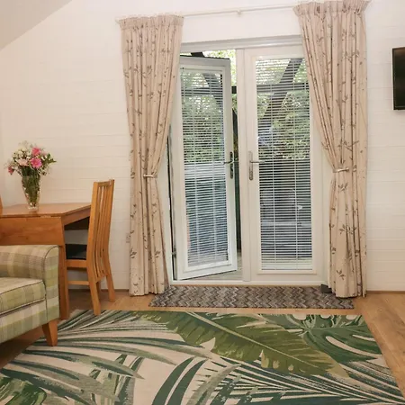 Ash *